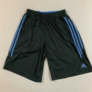 Adidas Climacool running Shorts